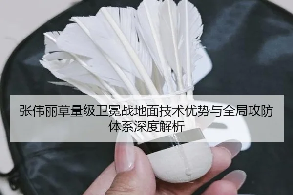 张伟丽草量级卫冕战地面技术优势与全局攻防体系深度解析